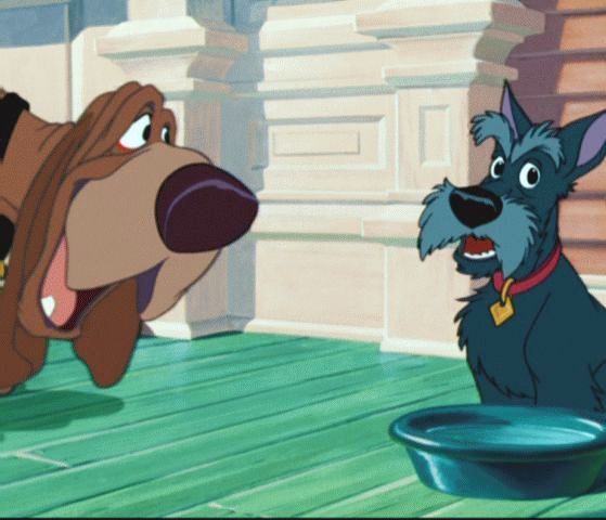 Jock & Trusty