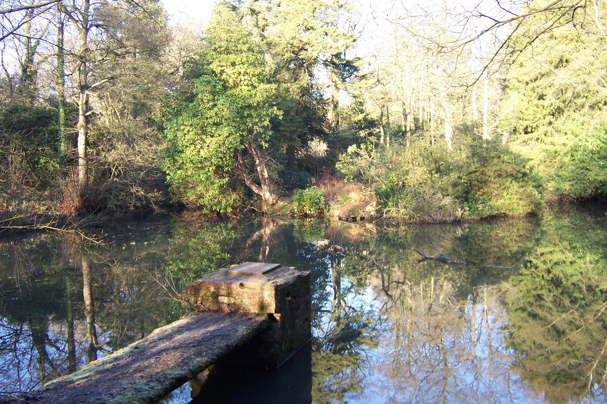 Still waters