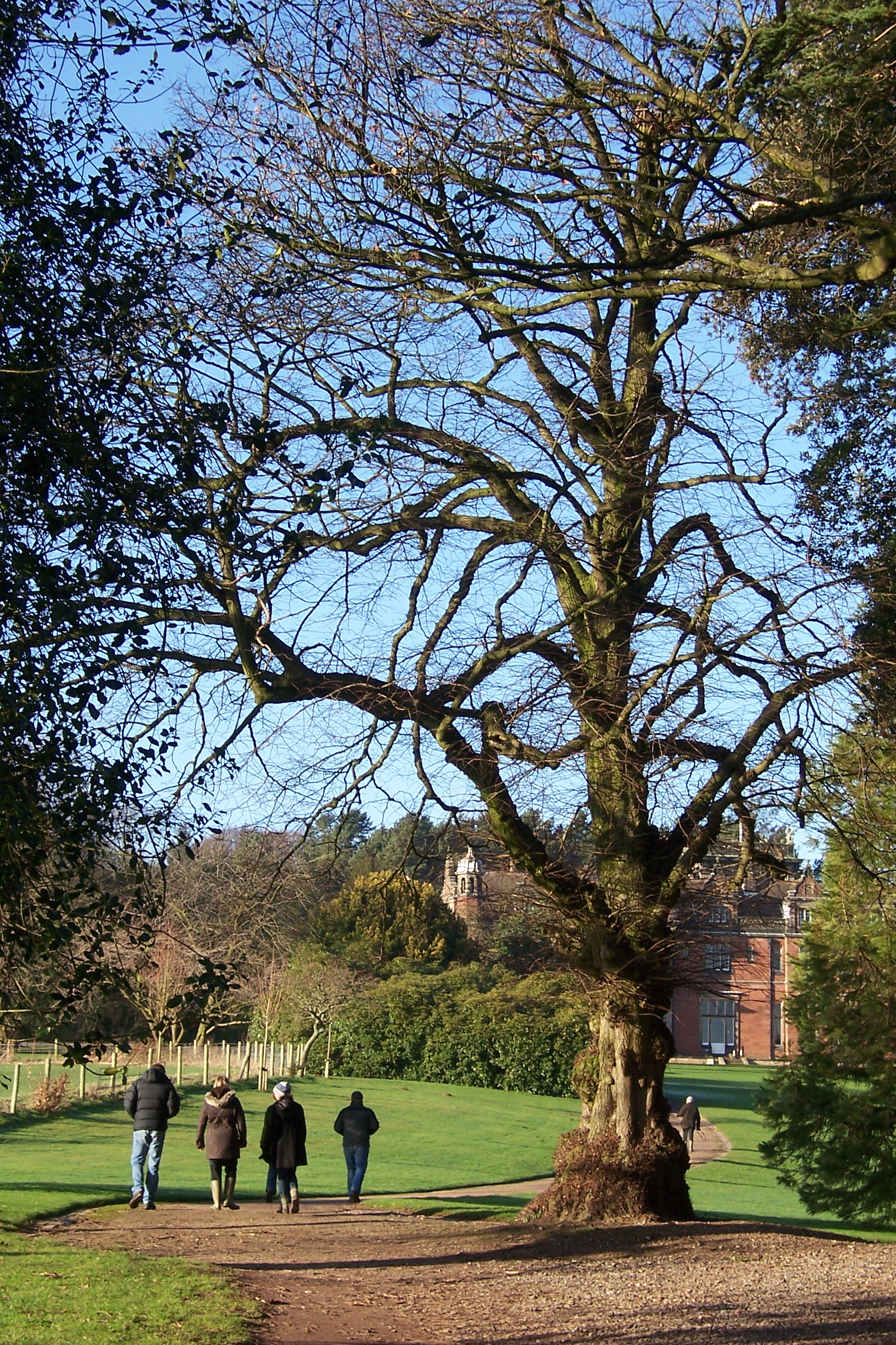 Nature stroll at Keele