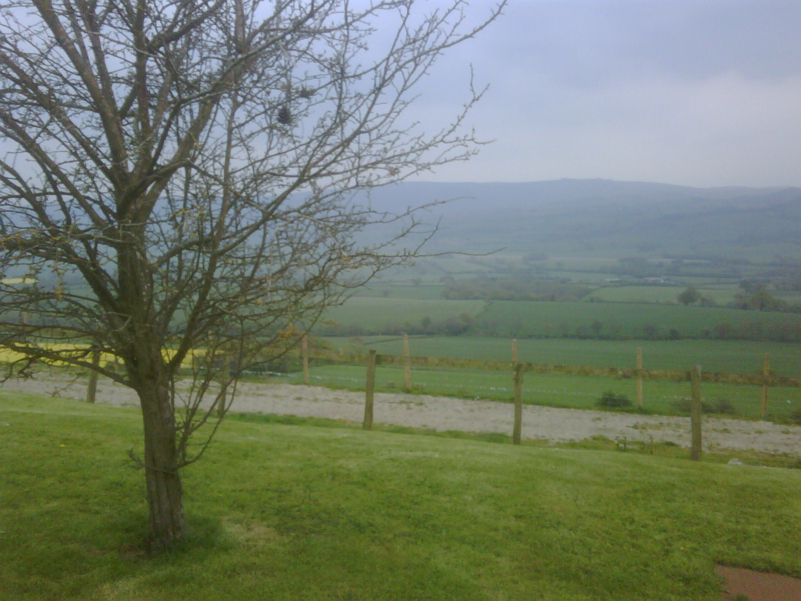 The view from Hampton Hayes Farm